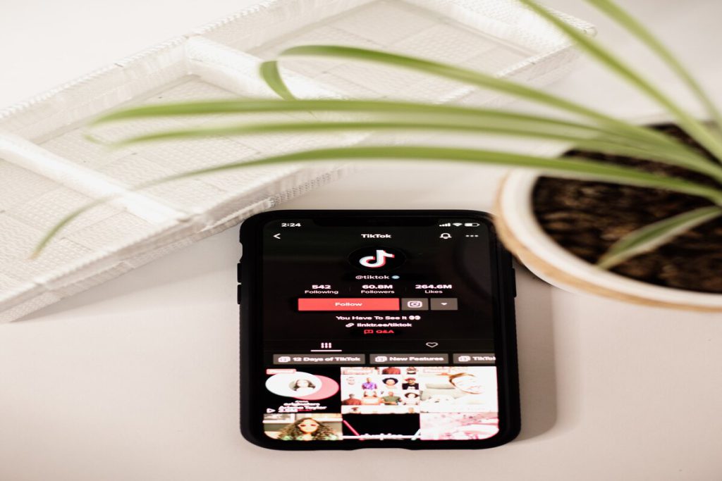 What is TikTok's potential for business?